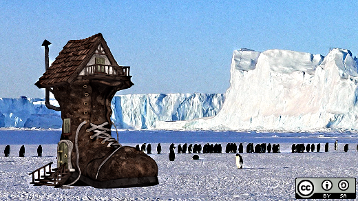 boot-penguins.jpg